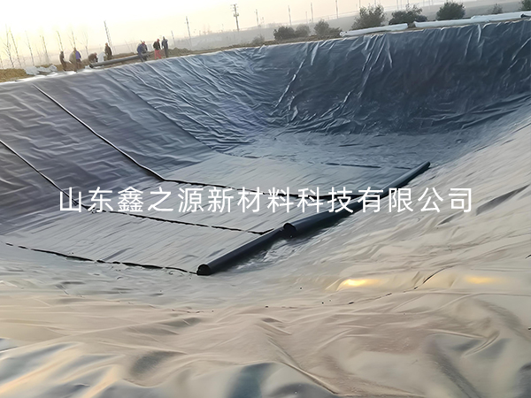 選擇防滲土工膜進(jìn)行小龍蝦養(yǎng)殖有哪些要點(diǎn)技巧？