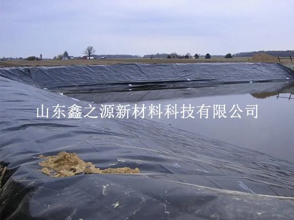 養(yǎng)殖防滲膜施工固定新法：簡約高效，守護(hù)生態(tài)養(yǎng)殖