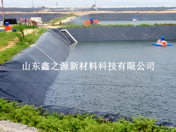 魚塘防滲膜存放技巧：輕松保鮮，以備不時之需